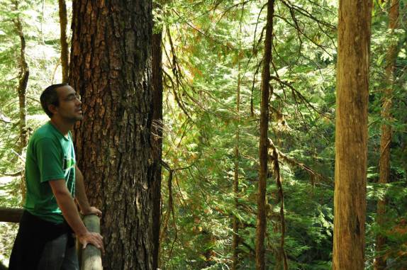 Respirando fundo o ar puro da floresta do Strathcona Provincial Park, no interior da  Vancouver Island, costa oeste do Canadá